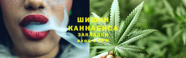 МДПВ Михайлов