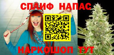 меф Кингисепп