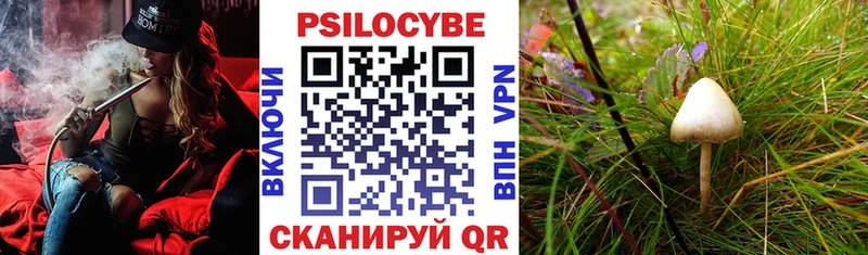 Псилоцибиновые грибы Cubensis  наркота  Красный Сулин 