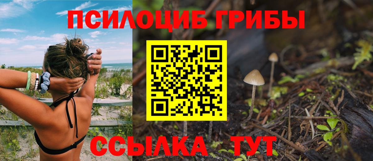Красный Сулин  Псилоцибиновые грибы Psilocybine cubensis  Вход с VPN  Галлюциногенные грибы мицелий 