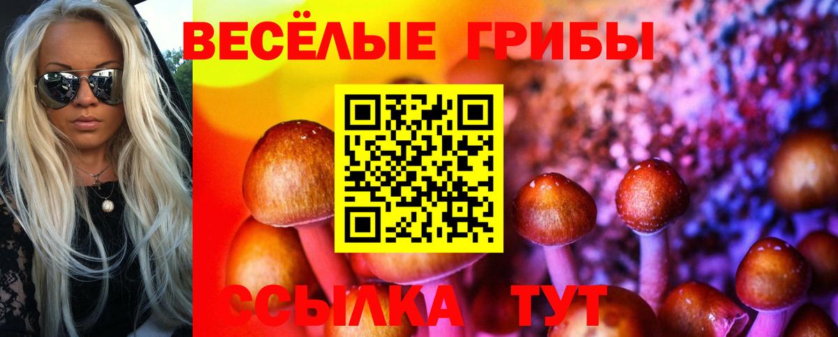 Галлюциногенные грибы Psilocybe  Красный Сулин  Псилоцибиновые грибы мухоморы 