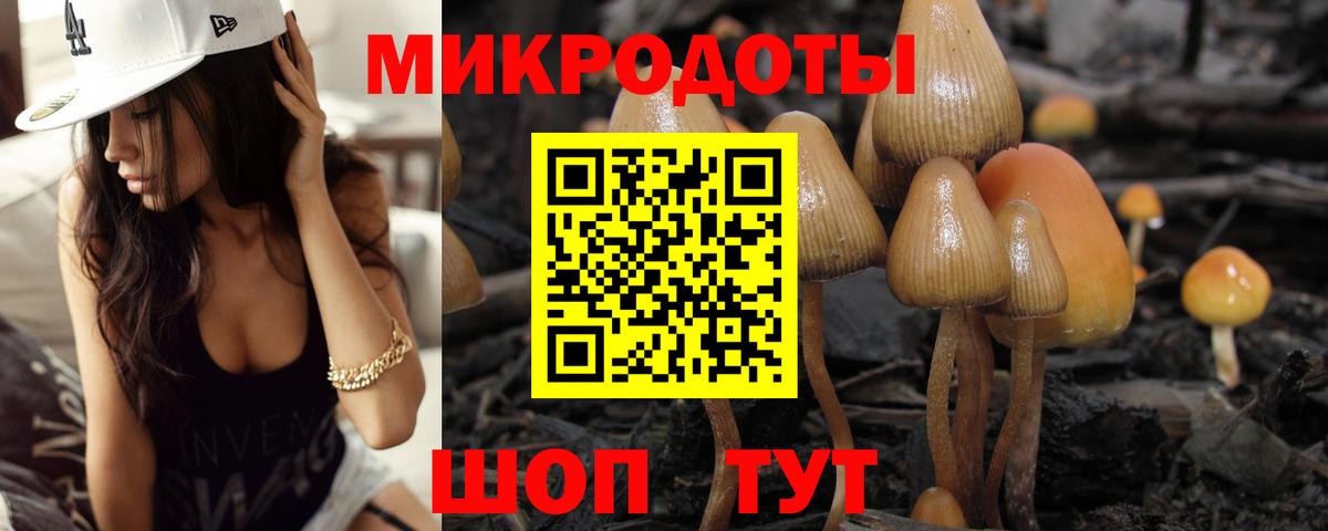 Галлюциногенные грибы Magic Shrooms Красный Сулин